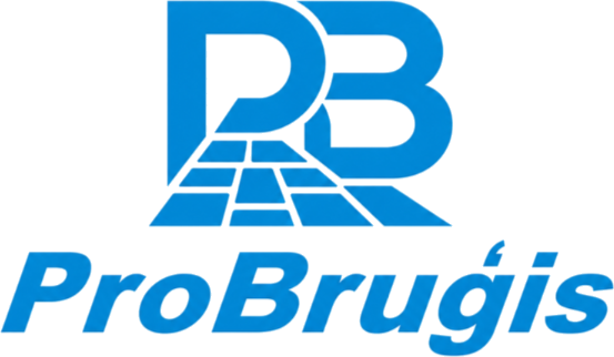 ProBrugis logo